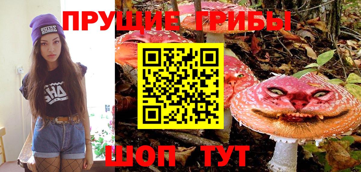 Фурманов  где продают   Вход с VPN  Псилоцибиновые грибы Psilocybine cubensis 